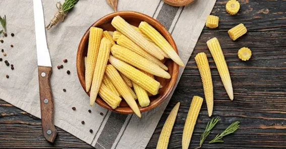 Facts About Baby Corn