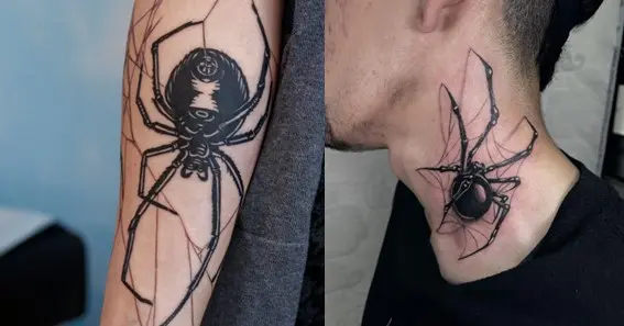 Geometric Spider