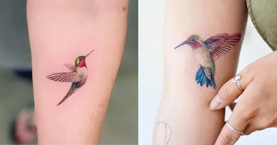 Realistic Hummingbird