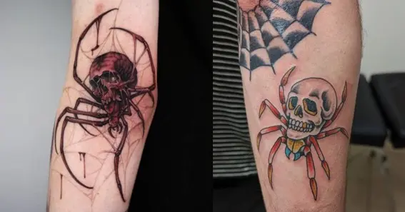 Spider and Skull