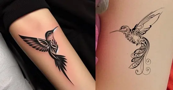 Tribal Hummingbird