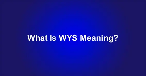 WYS Meaning